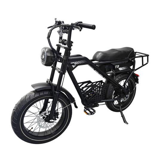Electric Bike for Adults, 20" x 4.0" Fat Tire 250W , Top Speed 25km/h Commuting Ebike with Shimano 7-speed | T3 Black