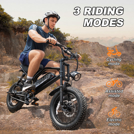 Electric Bike for Teenager 25km/h Ebike, 16'' Fat Tire Electric Bike, 40-50 Km PAS Range, 460Wh Larger Battery | AVDLBIKE A13