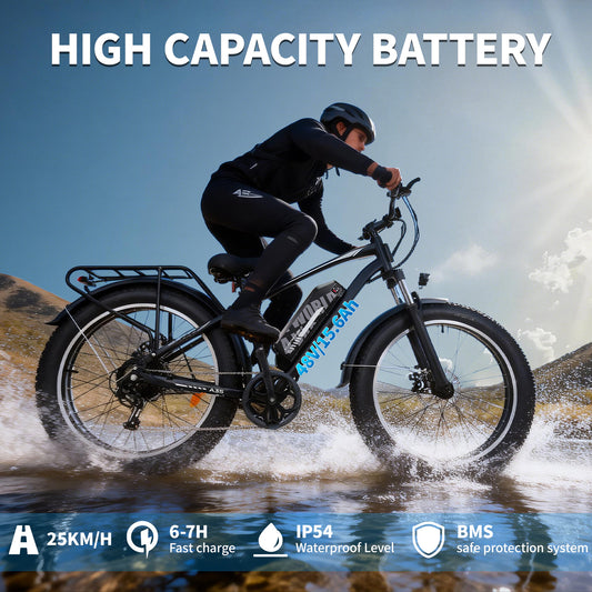 Mountain Bike for Adults , 26”x4“Fat Tire, 48V 15.6Ah Battery Up to 70KM, 250W Motor Max. 25km/h | A35 Black