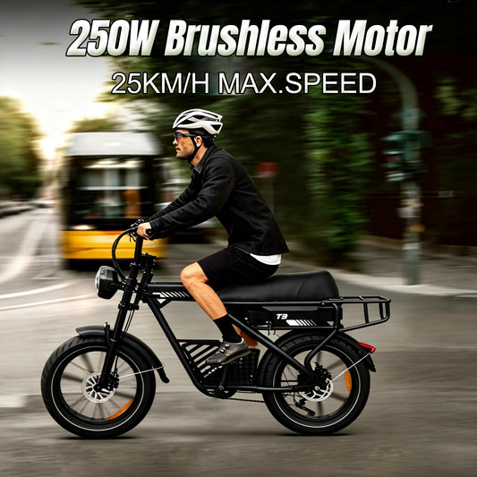 Electric Bike for Adults, 20" x 4.0" Fat Tire ,Top Speed 25km/h Commuting Ebike with Shimano 7-speed | T3