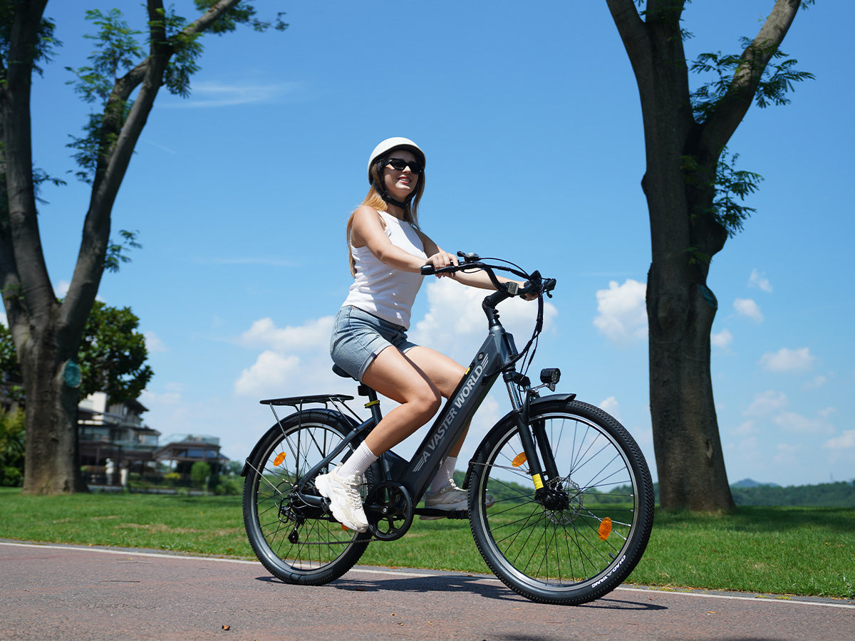 26 Inch Low-Step-Through