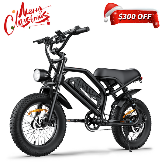Teenager Offroad Ebike Bestes Elektrofahrrad Schwarzes Fat E Bike | AVDLBIKE A13
