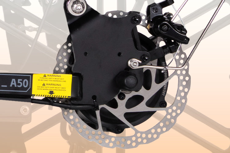 Dual Mechanical Disc Brakes