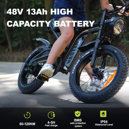 AVDL BIKE A50 Velo Electrique 20" - Fat Bike Tout Terrain - Moteur 250W-25km/h-Batterie 48V 14.25Ah - Autonomie 60-120km - Noir