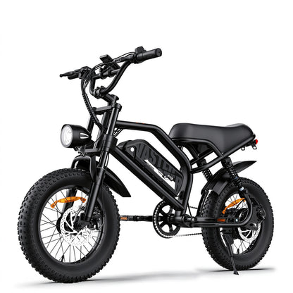 AVDLBIKE A13 Teen Fat Tire Electric Bike – 250W, 36V 12.8Ah, 25 km/h