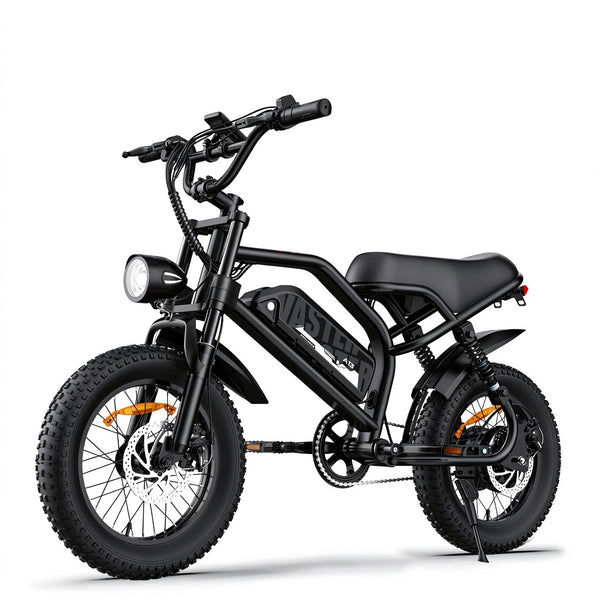 AVDLBIKE A13 Teen Fat Tire Electric Bike – 250W, 36V 12.8Ah, 25 km/h