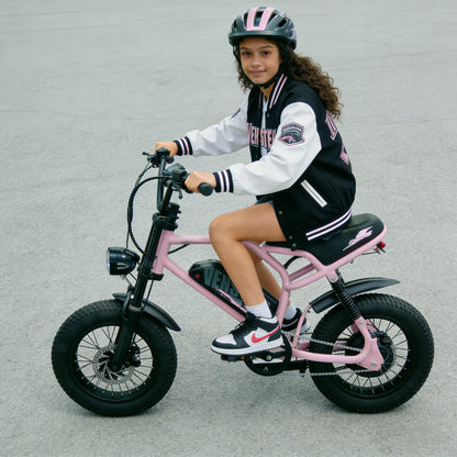 16" Fat Tires Off Road Ebike For Teenager Pink | AVDLBIKE A13