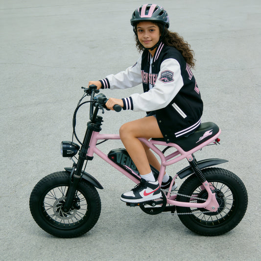 16" Fat Tires Off Road Ebike For Teenager Pink | AVDLBIKE A13