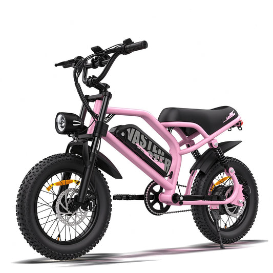 AVDLBIKE A13 Pink Teen Fat Tire Electric Bike – 250W, 36V 12.8Ah, 25 km/h