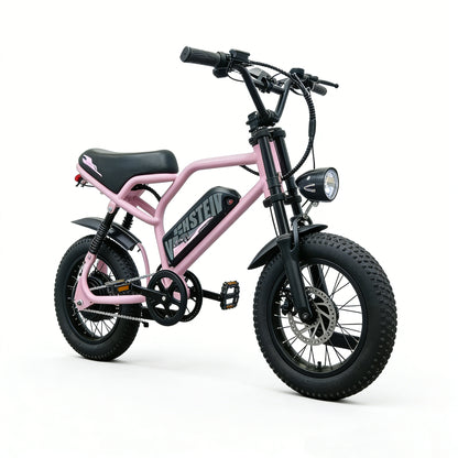 16" Fat Tires Off Road Ebike For Teenager Pink | AVDLBIKE A13