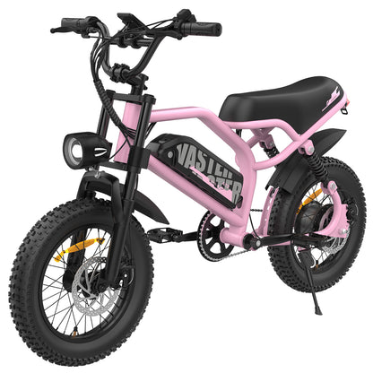 Teenager Offroad Ebike Bestes Elektrofahrrad Schwarzes Fat E Bike | AVDLBIKE A13