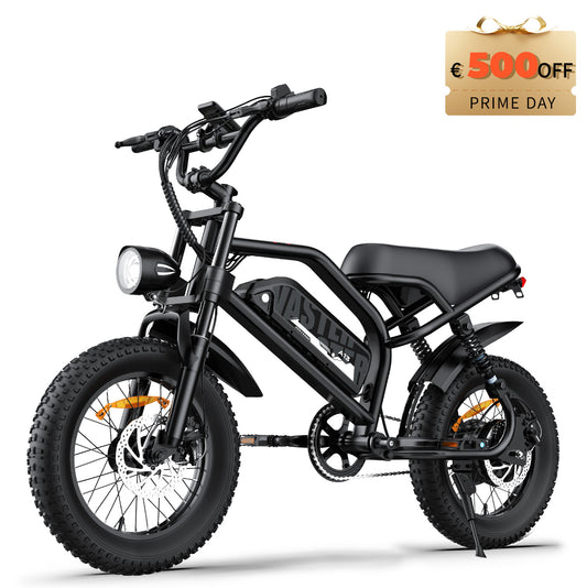 AVDLBIKE A13 Teen Fat Tire Electric Bike – 250W, 36V 12.8Ah, 25 km/h
