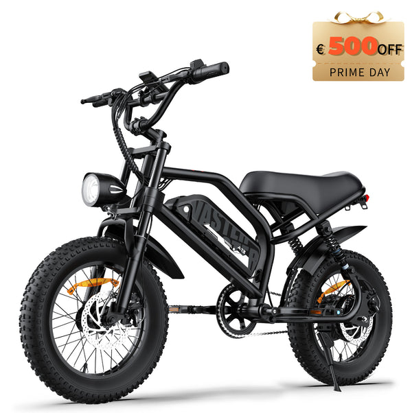 AVDLBIKE A13 Teen Fat Tire Electric Bike – 250W, 36V 12.8Ah, 25 km/h
