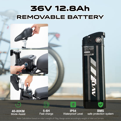 Best Ebikes for Adults 20" Tire Foldable Electric Bike With 460Wh Battery Up To 80km | AVDLBIKE A21