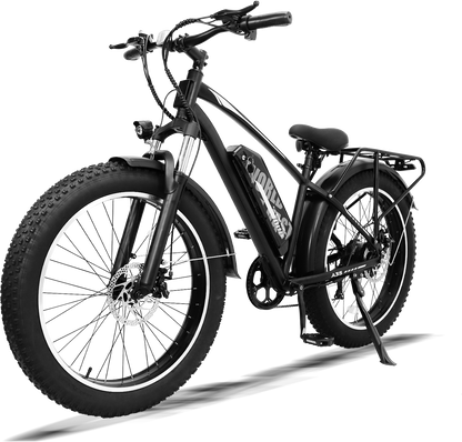 Mountain Bike with 26x4 Inch Fat Tire, Ebike 48V 15.6Ah Battery Up to 70KM, 250W Motor Max. 25km/h | AVDLBIKE A35