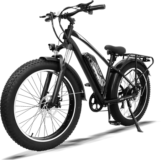 Mountain Bike with 26x4 Inch Fat Tire, Ebike 48V 15.6Ah Battery Up to 70KM, 250W Motor Max. 25km/h | AVDLBIKE A35