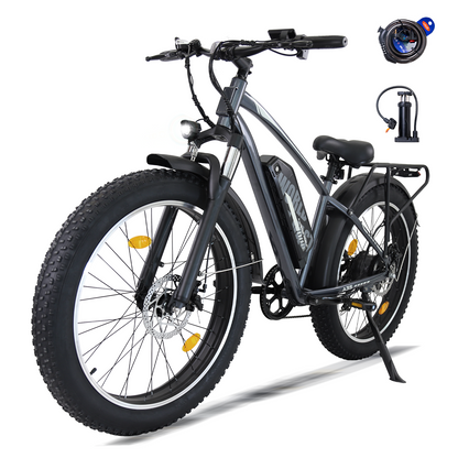 Adults Electric Bike with 26”x4“Fat Tire, 250W Motor Max. 25km/h ,48V 15.6Ah Battery Up to 70KM, | A35 Grey