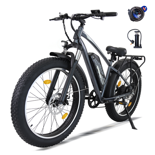 Adults Electric Bike with 26”x4“Fat Tire, 250W Motor Max. 25km/h ,48V 15.6Ah Battery Up to 70KM, | A35 Grey