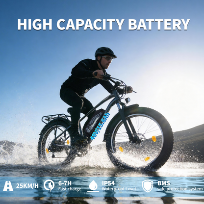 Adults Electric Bike with 26”x4“Fat Tire, 250W Motor Max. 25km/h ,48V 15.6Ah Battery Up to 70KM, | A35 Grey