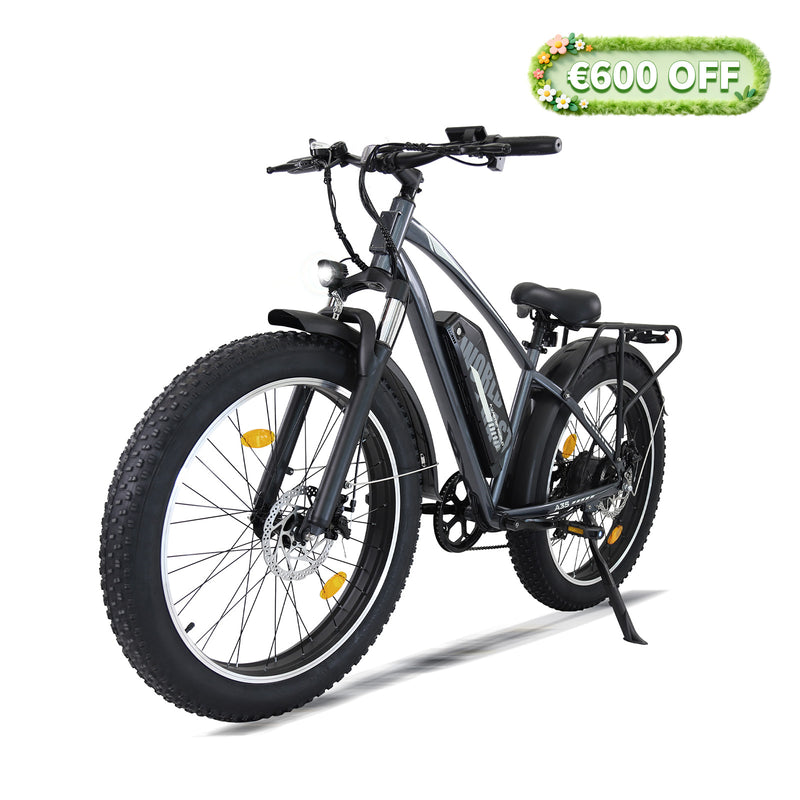 Adults Electric Bike with 26”x4“Fat Tire, 250W Motor Max. 25km/h ,48V 15.6Ah Battery Up to 70KM, | A35 Grey