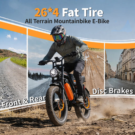 Adults Off-Road Ebike Electric Mountain Bike Black Fat E Bike| A50