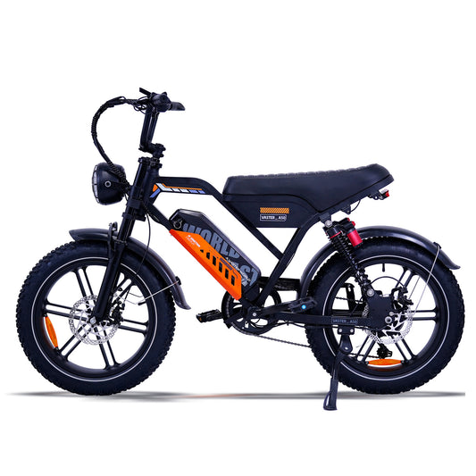 Offroad-E-Bike für Erwachsene, elektrisches Mountainbike, schwarzes Fat E-Bike | AVDL A50