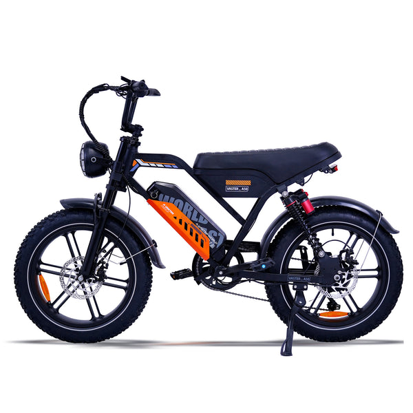 Offroad-E-Bike für Erwachsene, elektrisches Mountainbike, schwarzes Fat E-Bike | AVDL A50