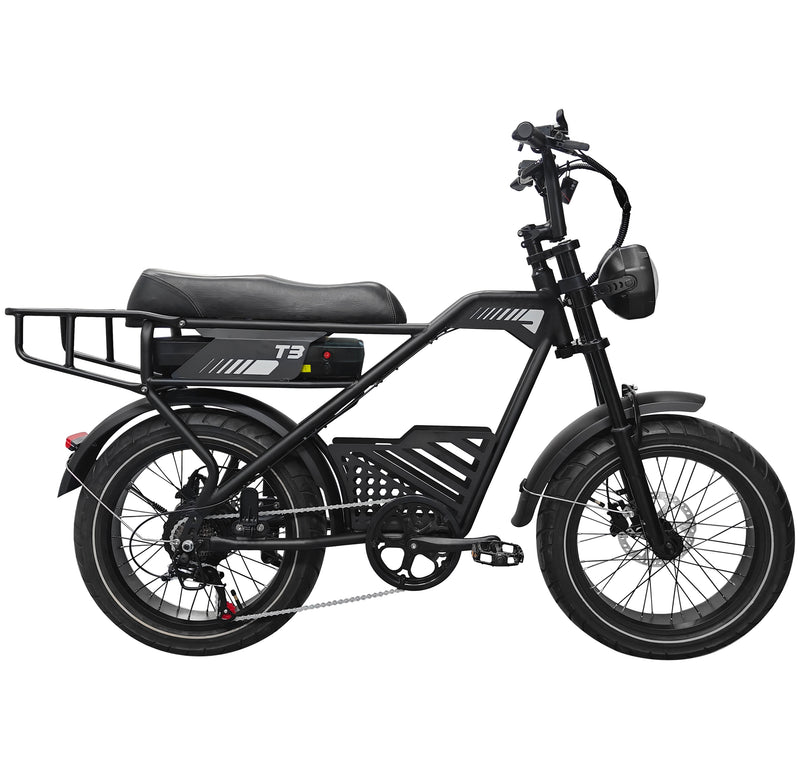 Electric Bike for Adults, 20 x 4.0 Inch Fat Tire ,Top Speed 25km/h Commuting Ebike with Shimano 7-speed | T3