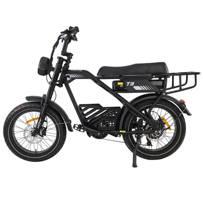 AVDLBIKE T3 20" x 4.0" Fat Tire Electric Bike for Adults – 250W, 48V 18Ah, 25 km/h