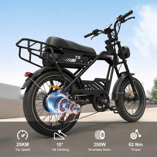AVDLBIKE T3 20" x 4.0" Fat Tire Electric Bike for Adults – 250W, 48V 18Ah, 25 km/h
