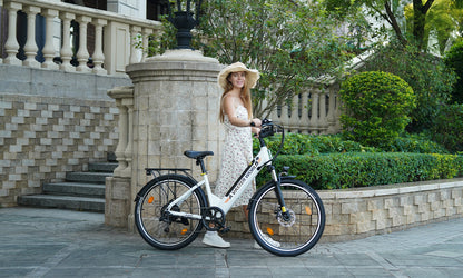 Ebike for Adult 26 Inch City Bike, 250W Motor, 48V 499 Wh Battery ,60-70 Km PAS Reichweite, 7 Gang Schaltung | A32 Pink