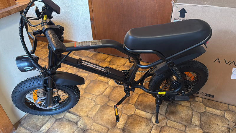 Teenagers Off-Road Ebike