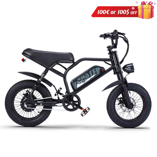 Teenager Off-Road Ebike Best Electric Bike Black Fat E Bike| AVDL A13